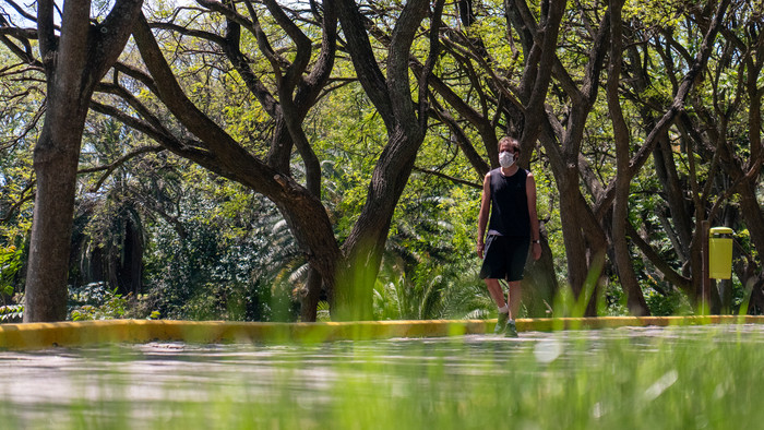 Comienza la etapa 3 de la reapertura del Jardín Botánico y las Reservas