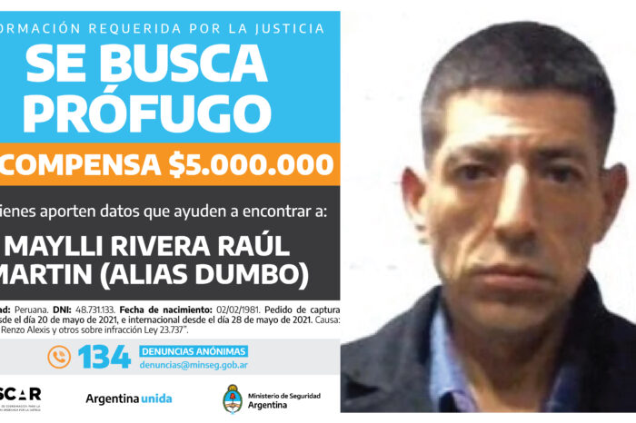 Ofrecen recompensa para lograr atrapar a "Dumbo"