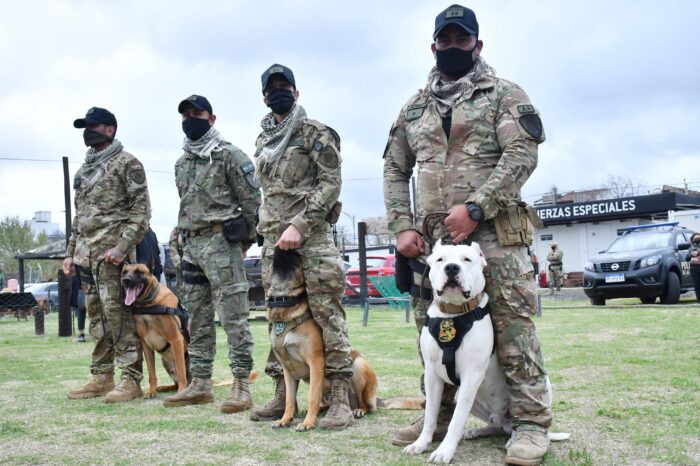 Cómo se entrenan los perros superagentes de la Policía de la Ciudad que previenen delitos y detectan explosivos