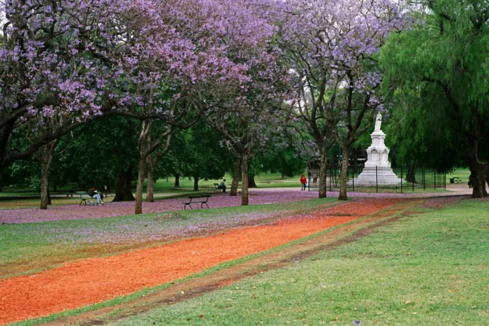 Pandemia: Se construirá un sitio recordatorio en el Parque Florentino Ameghino