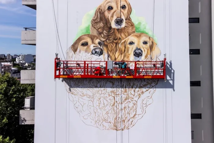 Villa Devoto: preparan un mural gigante en un edificio y planean inaugurarlo con los perros del barrio