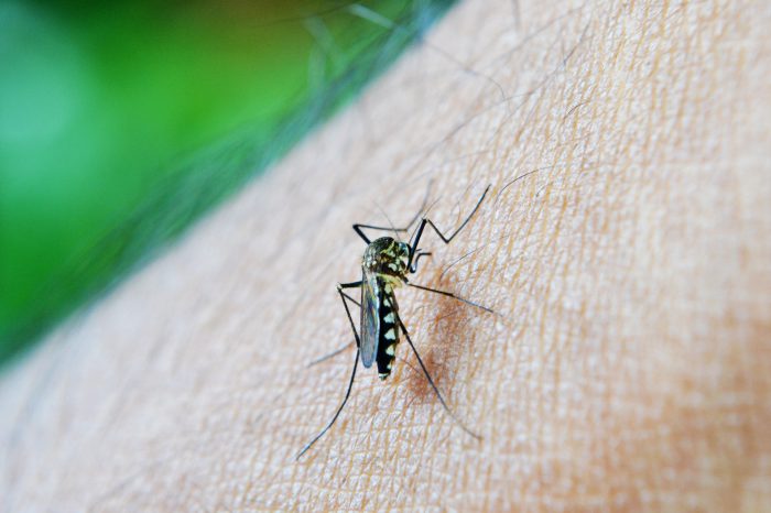 El Gobierno porteño habilitó unidades de atención febriles para dengue en 18 Hospitales Públicos