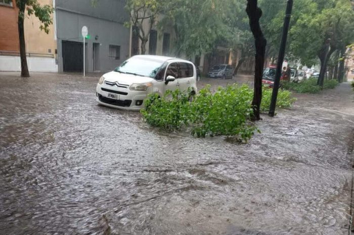 La Calle Verde Castro en Boedo acumula basura, agua y canteros abandonados