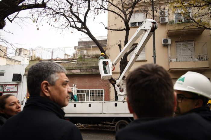 Avanza el plan anual de poda en la Ciudad